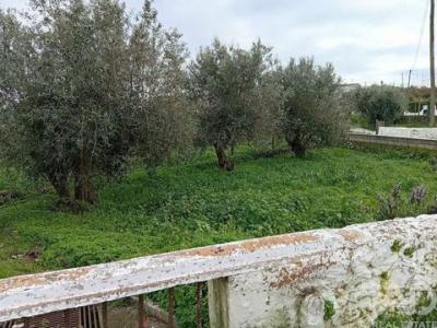 Vente Terrain LOULE 8100