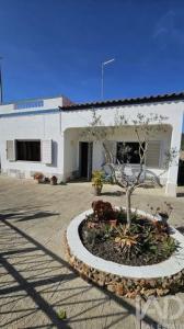 Vente Maison LOULE 8100