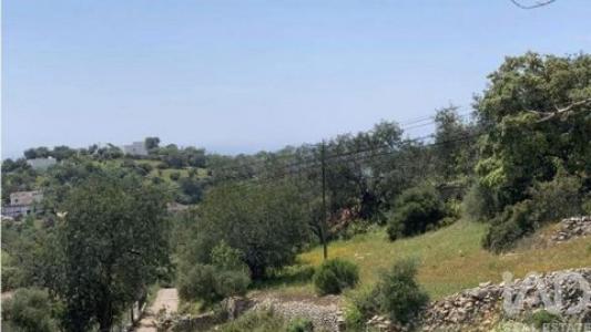 Vente Terrain LOULE 8100