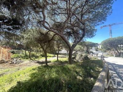 Vente Terrain LOULE 8100