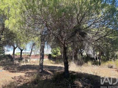 Vente Terrain LOULE 8100