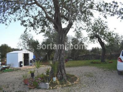 Vente Terrain LOULE 8100