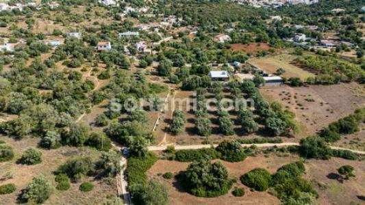 Vente Terrain LOULE 8100