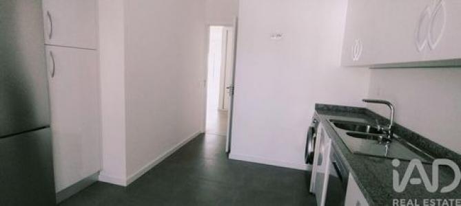 Location Appartement LOULE 8100