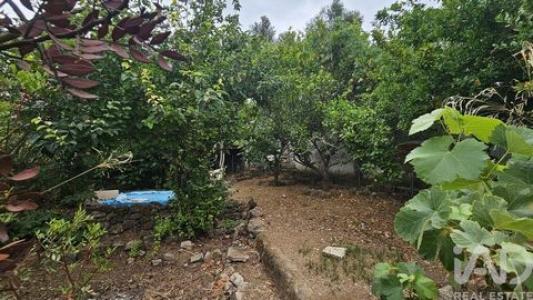 Vente Maison LOULE 8100