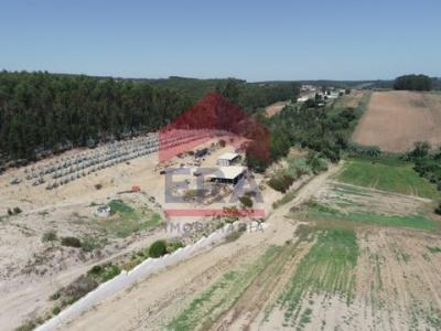 Vente Terrain LOURINHA 2530