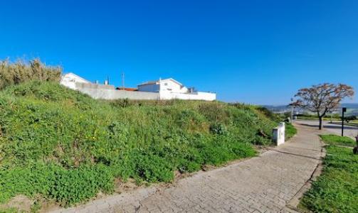 Vente Terrain LOURINHA 2530