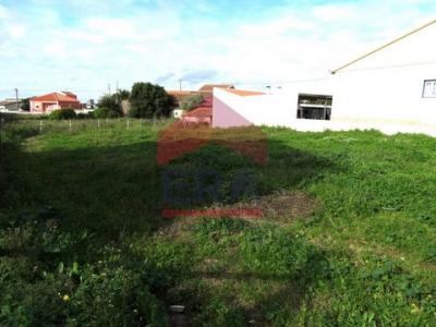 Vente Terrain LOURINHA 2530