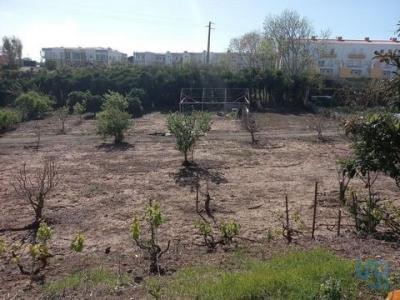 Vente Terrain LOURINHA 2530