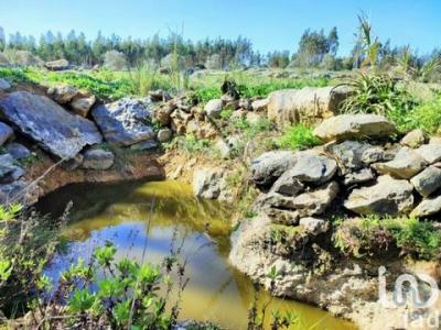 Vente Terrain LOURINHA 2530