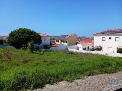 Vente Terrain LOURINHA 2530