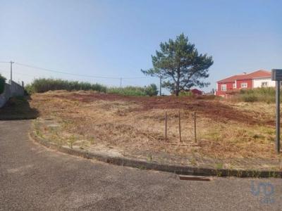 Vente Terrain LOURINHA 2530