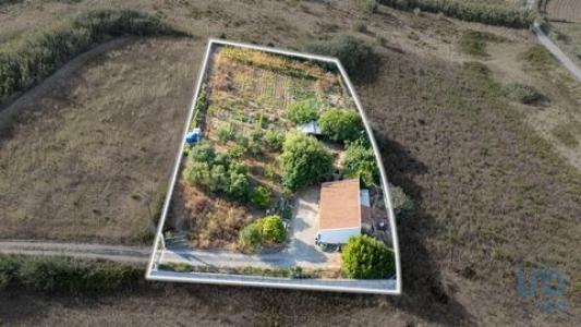 Vente Maison 3 pices LOURINHA 2530