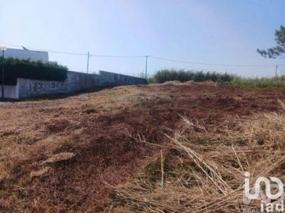 Vente Terrain LOURINHA 2530