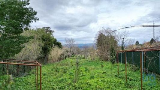 Vente Terrain LOUSA 3200