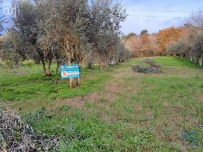 Vente Terrain LOUSA 2670