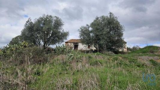 Vente Maison 3 pices LUZIANES-GARE 7665