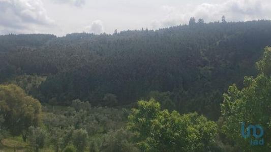 Vente Terrain MACAO 6120