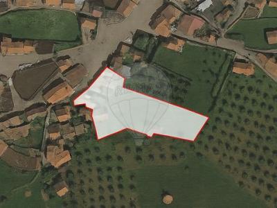 Vente Maison MACEDO-DE-CAVALEIROS 5340