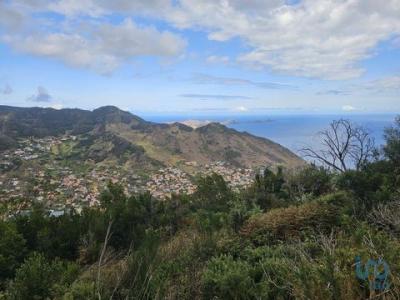 Vente Terrain MACHICO 9200