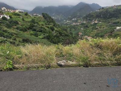 Vente Terrain MACHICO 9200