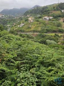 Vente Terrain MACHICO 9200