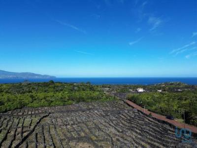 Vente Terrain MADALENA 2305