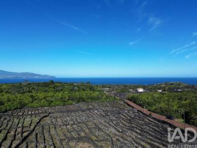 Vente Terrain MADALENA 2305