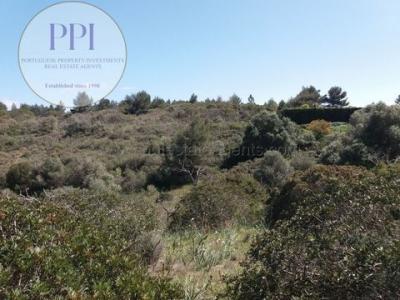 Vente Appartement MADEIRA 6160