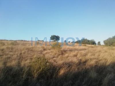 Vente Terrain MAFRA 2640