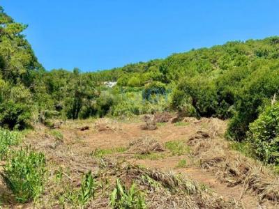 Vente Terrain MAFRA 2640