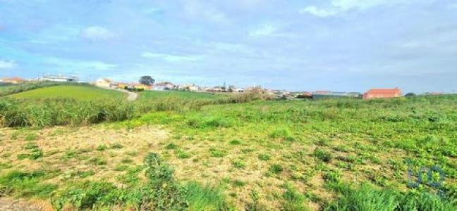 Vente Terrain MAFRA 2640