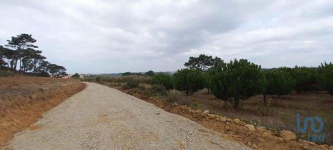 Vente Terrain MAFRA 2640