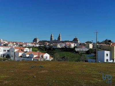 Vente Terrain MAFRA 2640