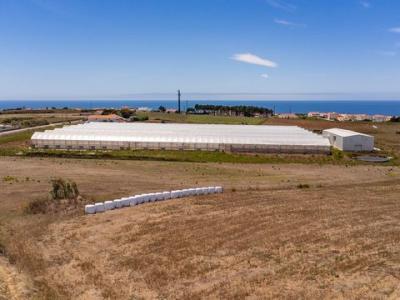 Vente Terrain MAFRA 2640