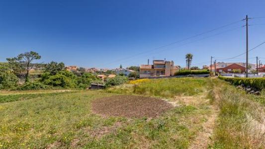 Vente Terrain MAFRA 2640