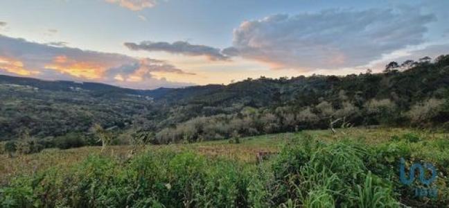 Vente Terrain MAFRA 2640