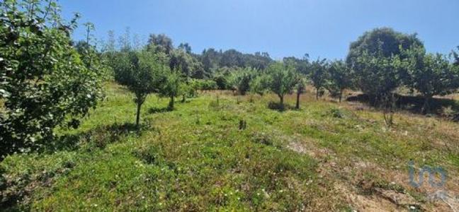 Vente Terrain MAFRA 2640