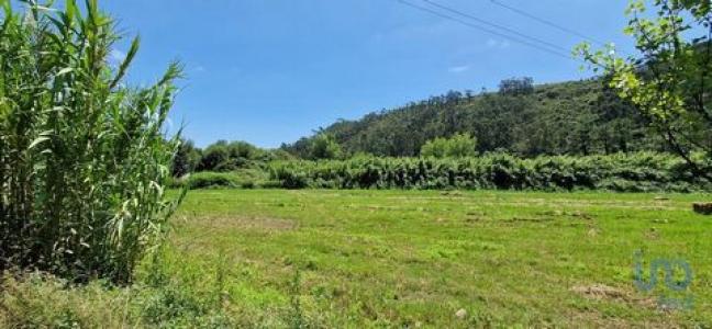Vente Terrain MAFRA 2640