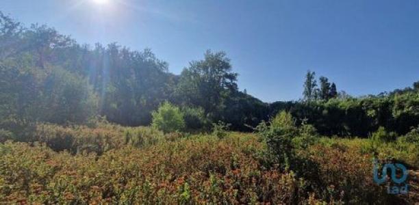 Vente Terrain MAFRA 2640