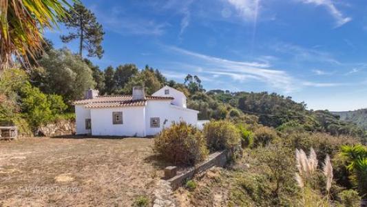 Vente Maison 3 pices MAFRA 2640