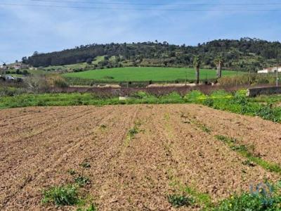 Vente Terrain MAFRA 2640