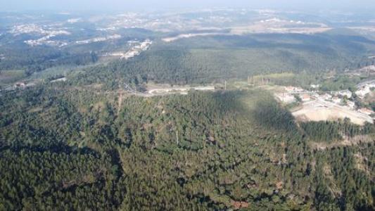 Vente Terrain MAFRA 2640