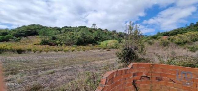 Vente Terrain MAFRA 2640