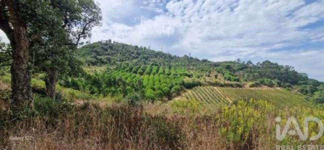 Vente Terrain MAFRA 2640