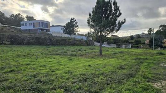 Vente Terrain MAFRA 2640