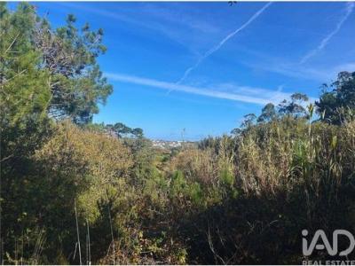 Vente Terrain MAFRA 2640