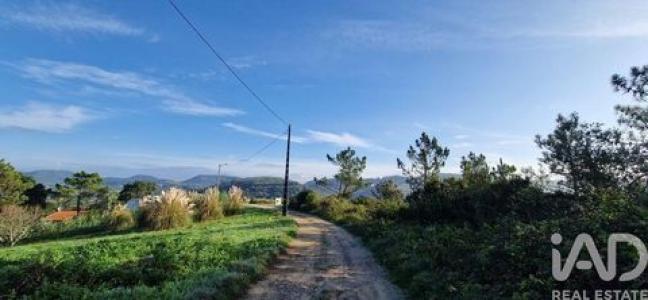 Vente Terrain MAFRA 2640