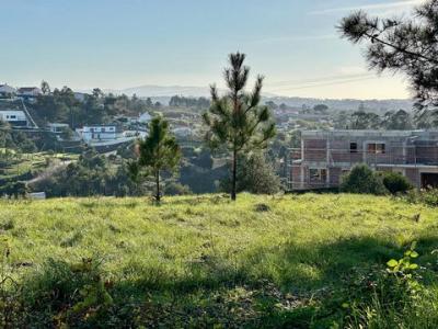 Vente Terrain MAFRA 2640