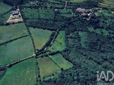 Vente Terrain MAFRA 2640